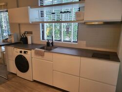 Holland Rise (D10), Apartment #473808471